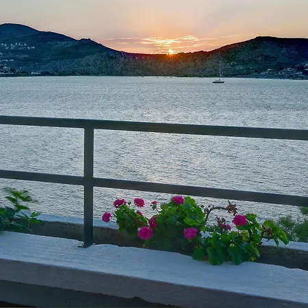 Hippocampus Hotel Naousa (Paros)