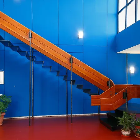 Hippocampus 3* ناوسا