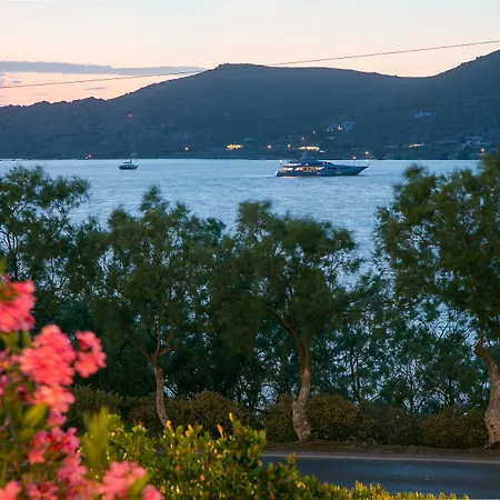 فندق Hippocampus ناوسا